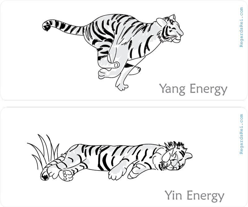 190209-7-yin-yang-in-nature.png